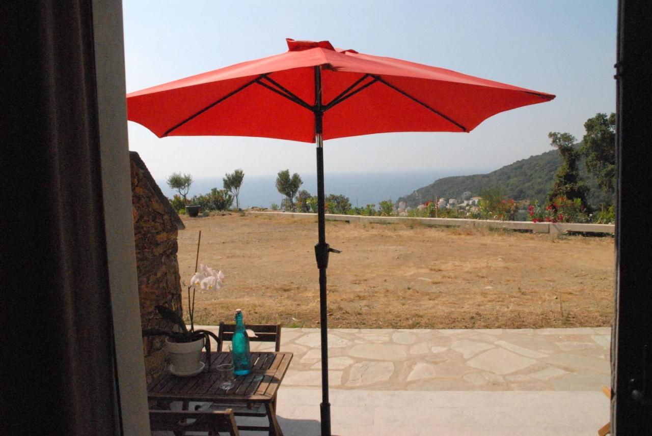 Appartement Vue Sur Mer Santa-Maria-di-Lota Экстерьер фото