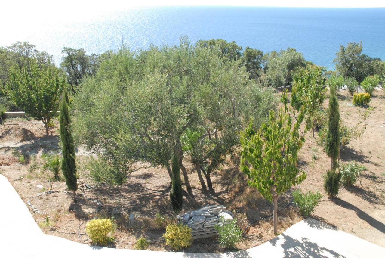 Appartement Vue Sur Mer Santa-Maria-di-Lota Экстерьер фото