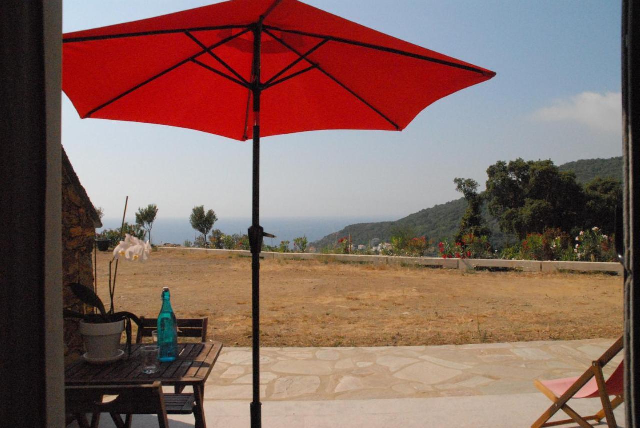 Appartement Vue Sur Mer Santa-Maria-di-Lota Экстерьер фото