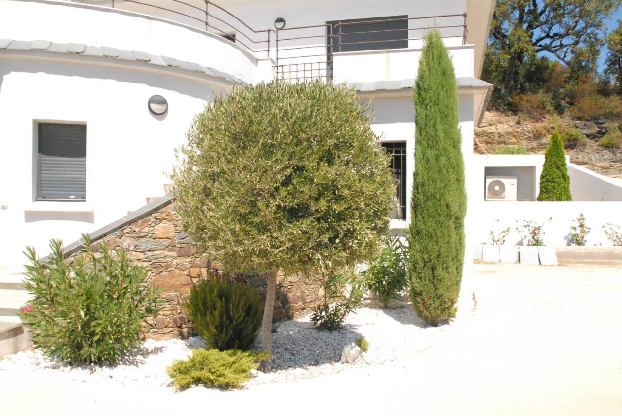 Appartement Vue Sur Mer Santa-Maria-di-Lota Экстерьер фото